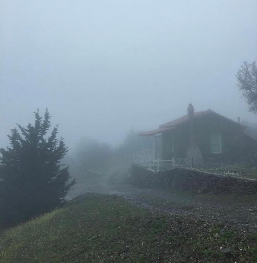 Toumba Eco Farm Guesthouses Plomari Exterior foto