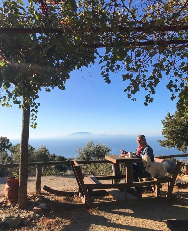 Toumba Eco Farm Guesthouses Plomari Exterior foto